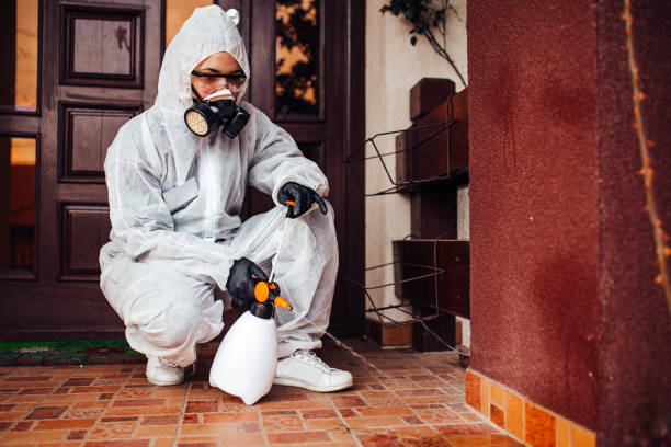 Reliable Cockroach Control contractor in Ames, IA by Nex Pest Control
